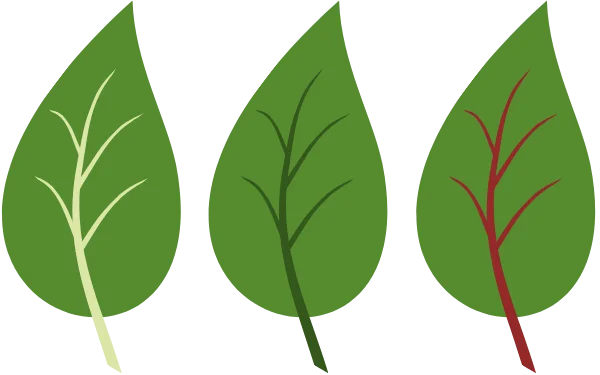 Different kratom strains
