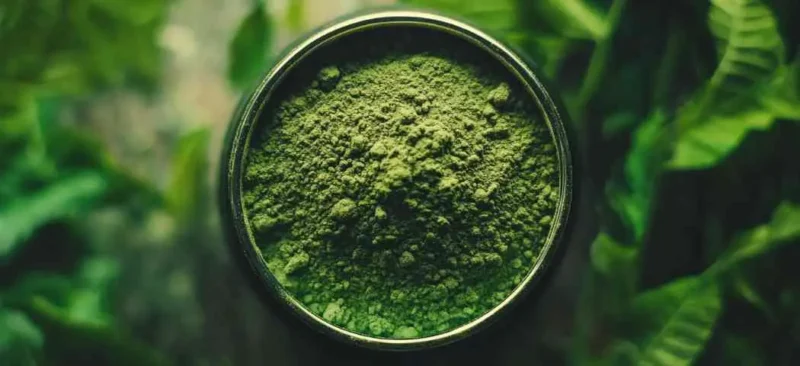 Situación legal del kratom